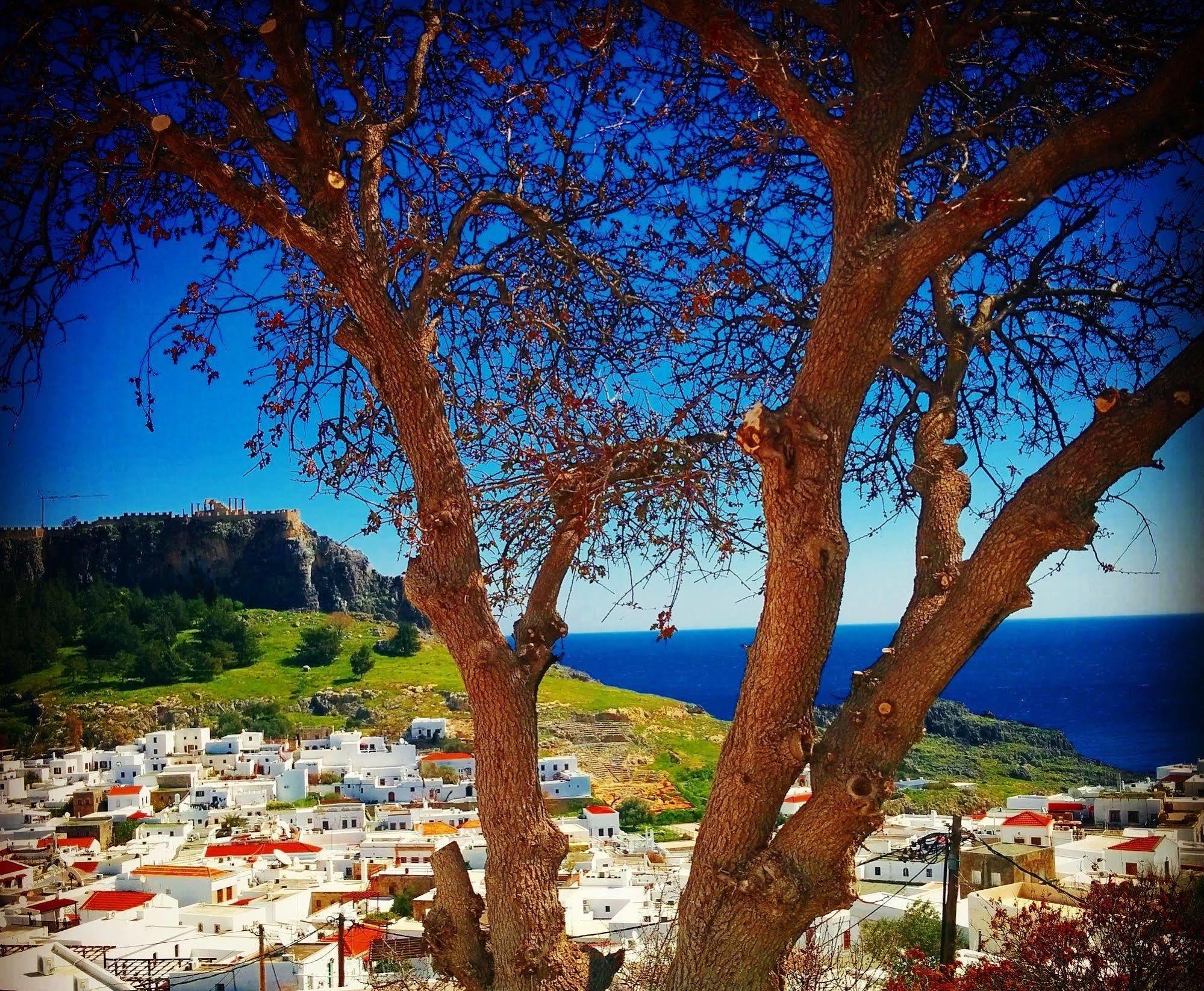 Little Lindos Sea View Studios Extérieur photo